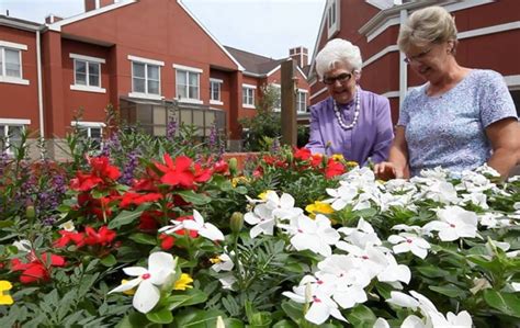 bayley senior care